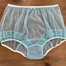 Sheer Briefs