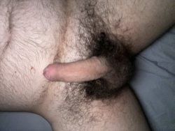 My small dick