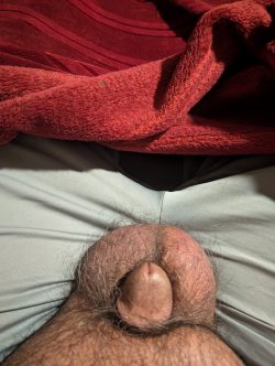 Someone please shave my tiny cock and Balls