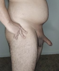 Penis foreskin