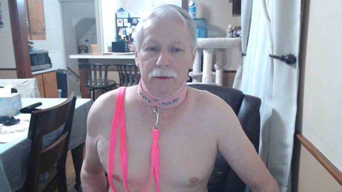 Sissy Fag shemale Sean Carey SEANETTE CAREY