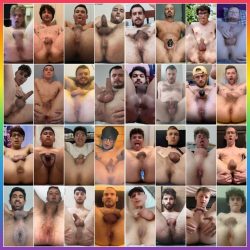 exposed faggots