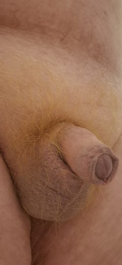 My penis pics