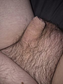 Should it be shaved?