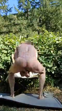 sammyboy playing for the nieghbors