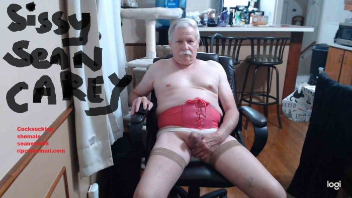 Sissy Fag shemale Sean Carey SEANETTE CAREY