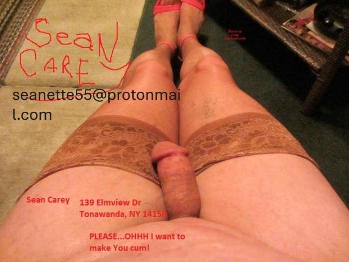 Sissy Fag shemale Sean Carey SEANETTE CAREY