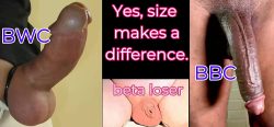 size comparison