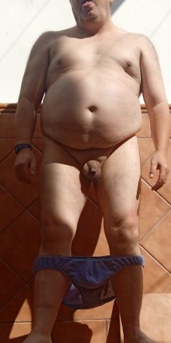 fat whale