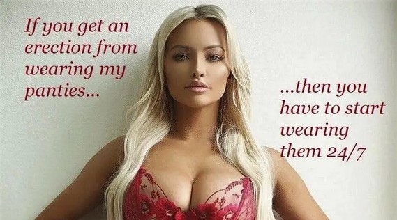 Men that get erections from wearing panties