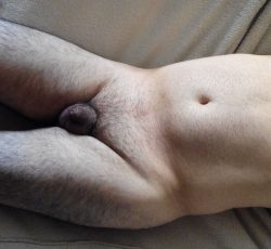 is it small?