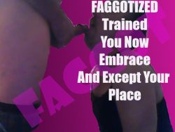Faggotized
